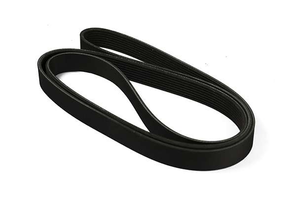V-Ribbed Belt (Z23068)
