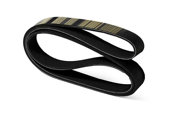 V-Ribbed Belt (Z23016)
