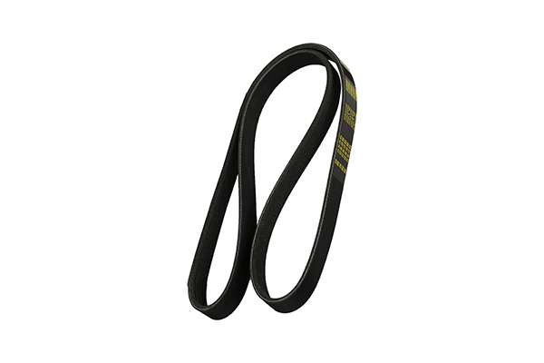 V-Ribbed Belt (Z22615)