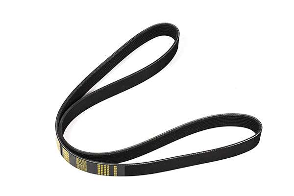 V-Ribbed Belt (Z23008)
