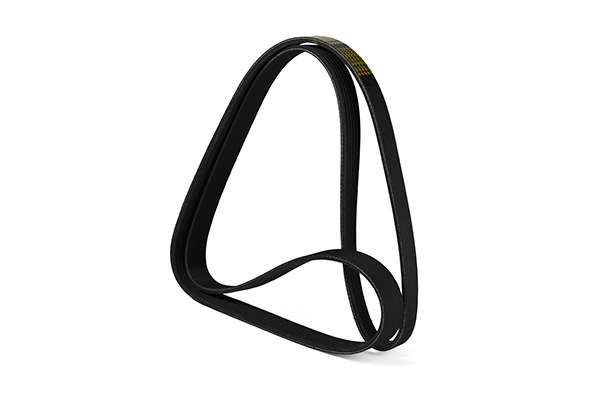 V-Ribbed Belt (Z22639)