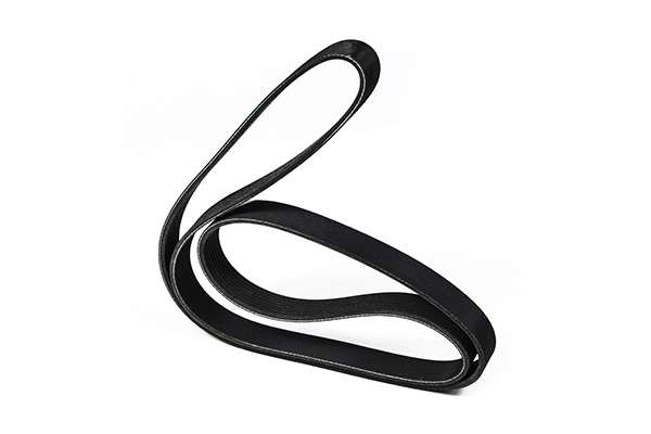 V-Ribbed Belt (Z23063)