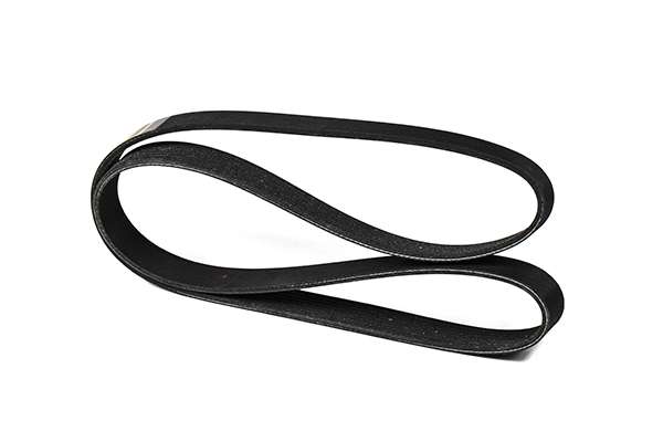 V-Ribbed Belt (Z23041)