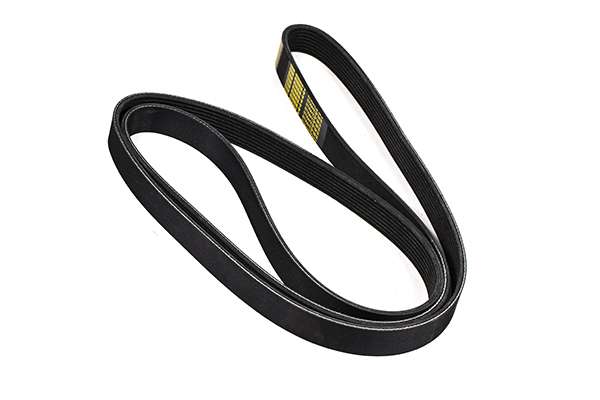 V-Ribbed Belt (Z22971)