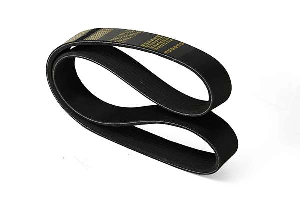 V-Ribbed Belt (Z23003)