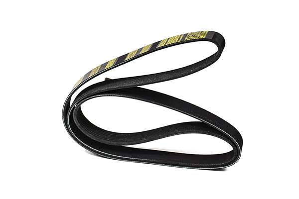 V-Ribbed Belt (Z22966)