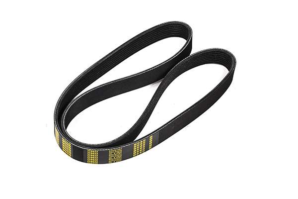 V-Ribbed Belt (Z22984)