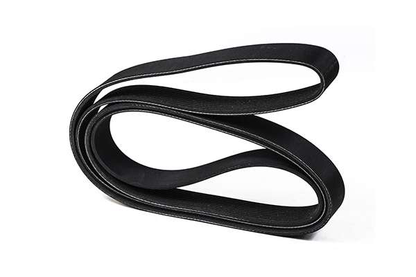 V-Ribbed Belt (Z22979)