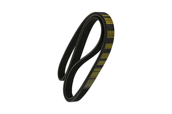 V-Ribbed Belt (Z22669)