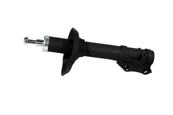 Shock Absorber (Z00244)