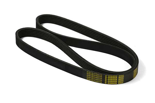 V-Ribbed Belt (Z22611)