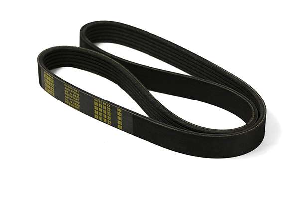 V-Ribbed Belt (Z22770)