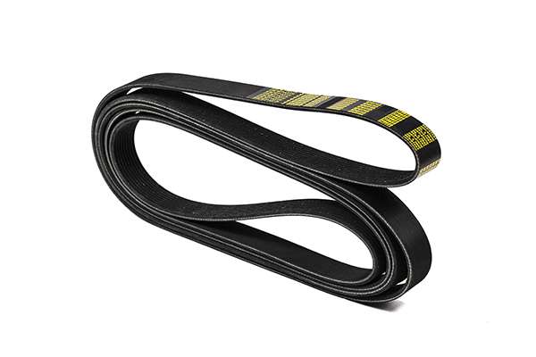 V-Ribbed Belt (Z23050)