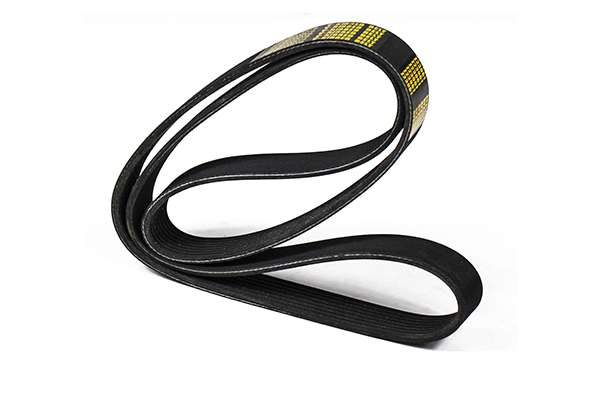 V-Ribbed Belt (Z23061)