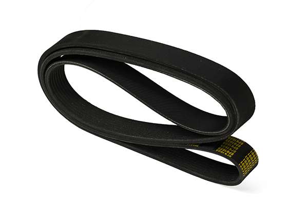 V-Ribbed Belt (Z22991)