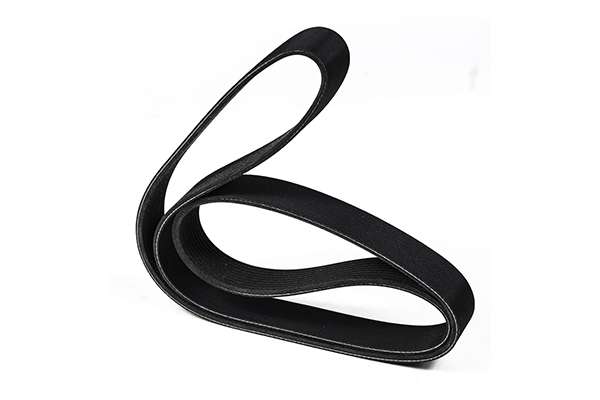 V-Ribbed Belt (Z22975)