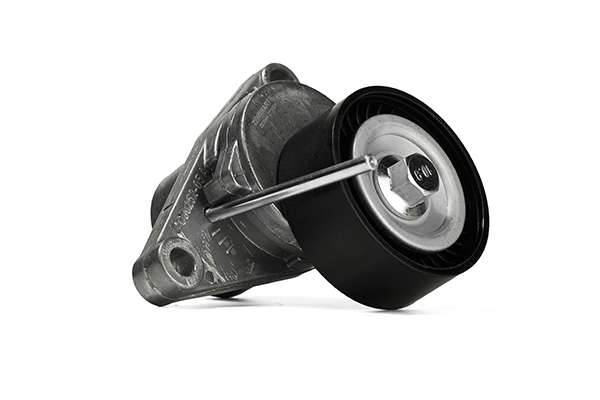 Tensioner Pulley, V-ribbed belt (Z23844)