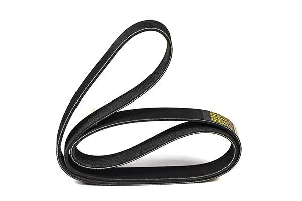V-Ribbed Belt (Z23057)