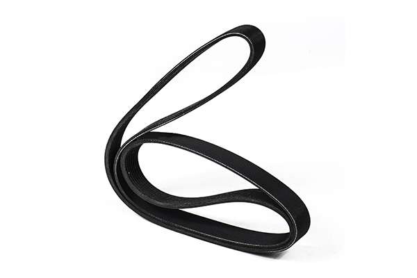 V-Ribbed Belt (Z23007)