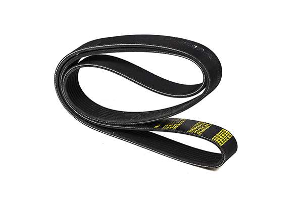 V-Ribbed Belt (Z23059)