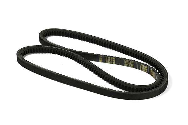 V-Belt (Z22946)