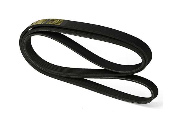 V-Ribbed Belt (Z22668)