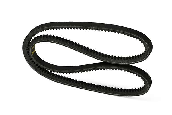 V-Belt (Z22810)