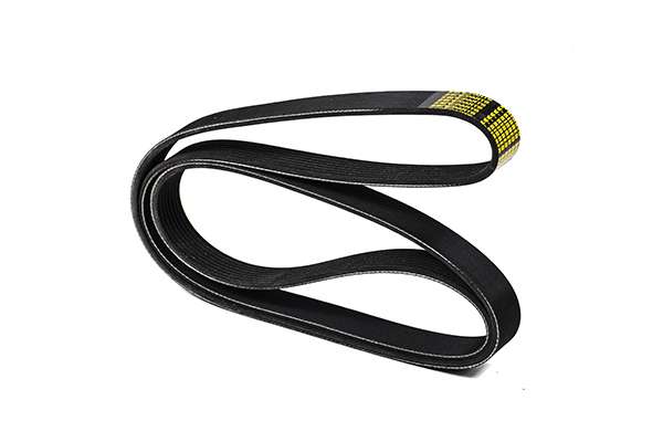 V-Ribbed Belt (Z23082)