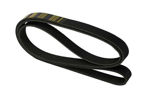 V-Ribbed Belt (Z23040)
