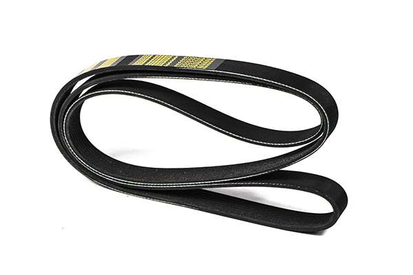V-Ribbed Belt (Z23028)