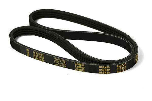 V-Ribbed Belt (Z22516)