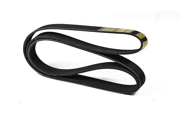 V-Ribbed Belt (Z23056)
