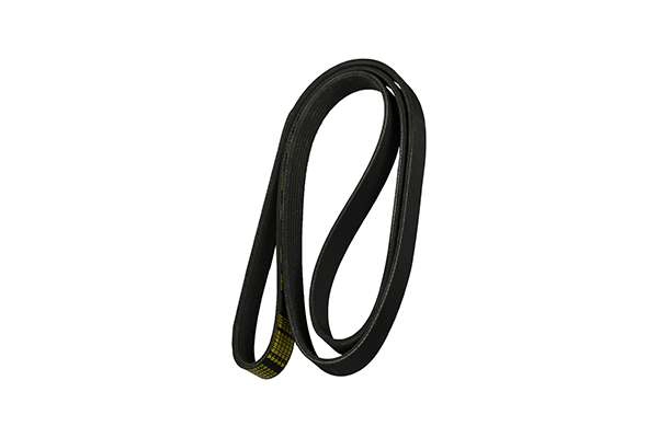 V-Ribbed Belt (Z22954)