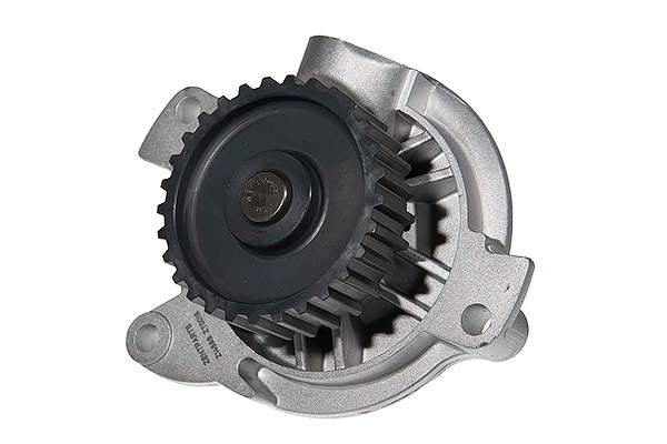 Water Pump, engine cooling (Z14589)