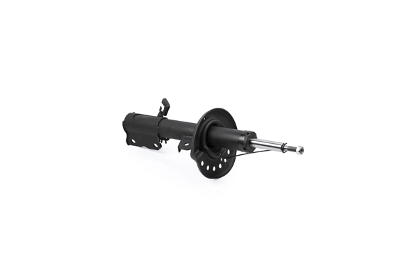 Shock Absorber (Z00582)