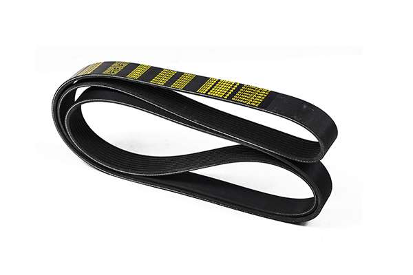 V-Ribbed Belt (Z23036)