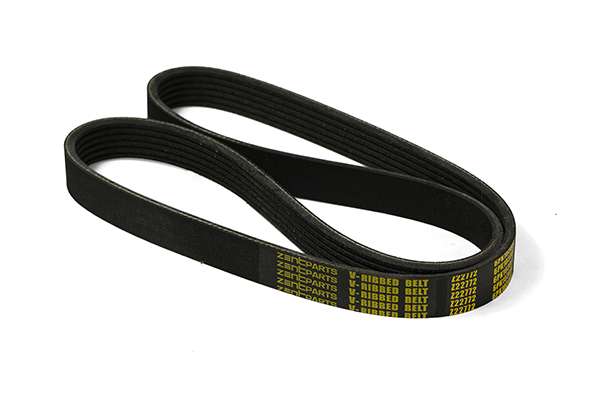 V-Ribbed Belt (Z22772)