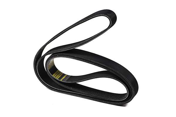 V-Ribbed Belt (Z23070)