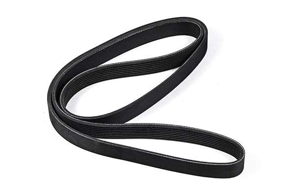 V-Ribbed Belt (Z22994)