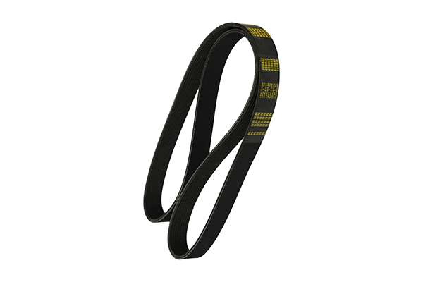 V-Ribbed Belt (Z22977)
