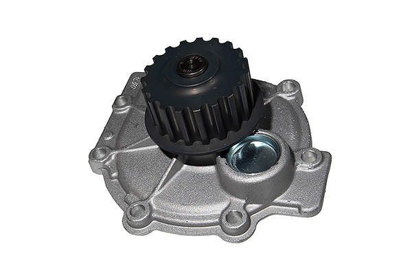 Water Pump, engine cooling (Z14528)