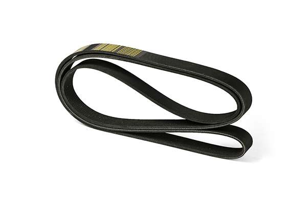 V-Ribbed Belt (Z23001)