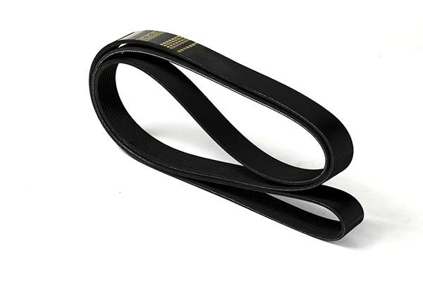 V-Ribbed Belt (Z22993)