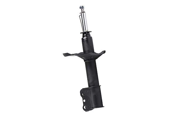 Shock Absorber (Z00819)