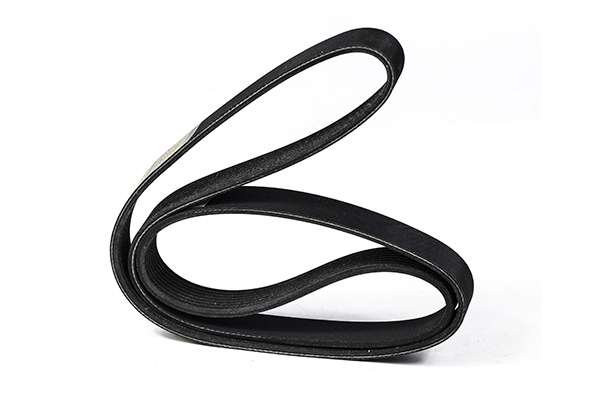 V-Ribbed Belt (Z23020)