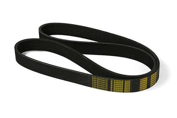 V-Ribbed Belt (Z23080)