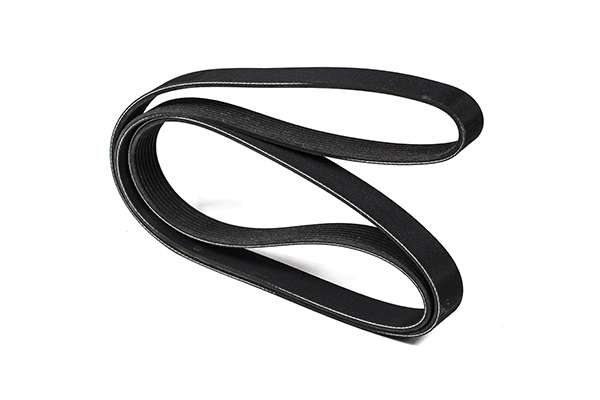V-Ribbed Belt (Z23006)