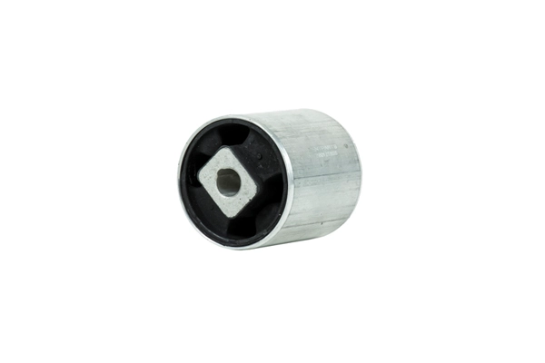 Mounting, control/trailing arm (Z25501)