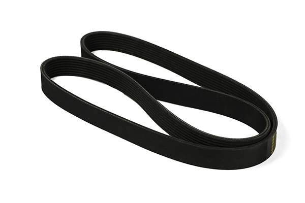 V-Ribbed Belt (Z23019)