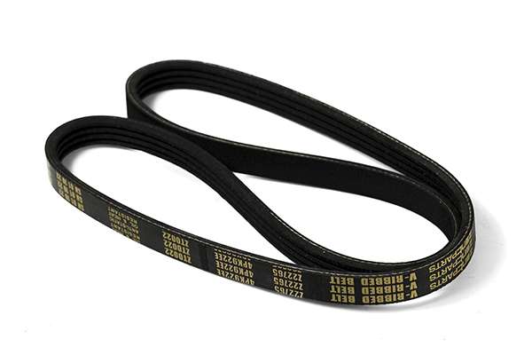 V-Ribbed Belt (Z22765)